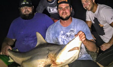 Extreme Shark Fishing