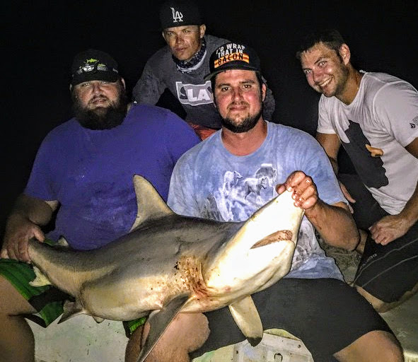 Extreme Shark Fishing